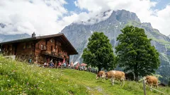 Näissä maissa turistit otetaan avosylin vastaan: stressitöntä matkustamista