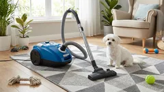 Kevään karvanlähtö: lemmikkieläinten karvojen poistaminen matoista