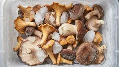 Kuinka sieniä säilytetään oikein pakastimessa: pakastaminen ilman pettymyksiä — asiantuntijoiden vinkit